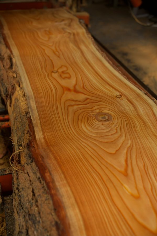 Lärk Slabs